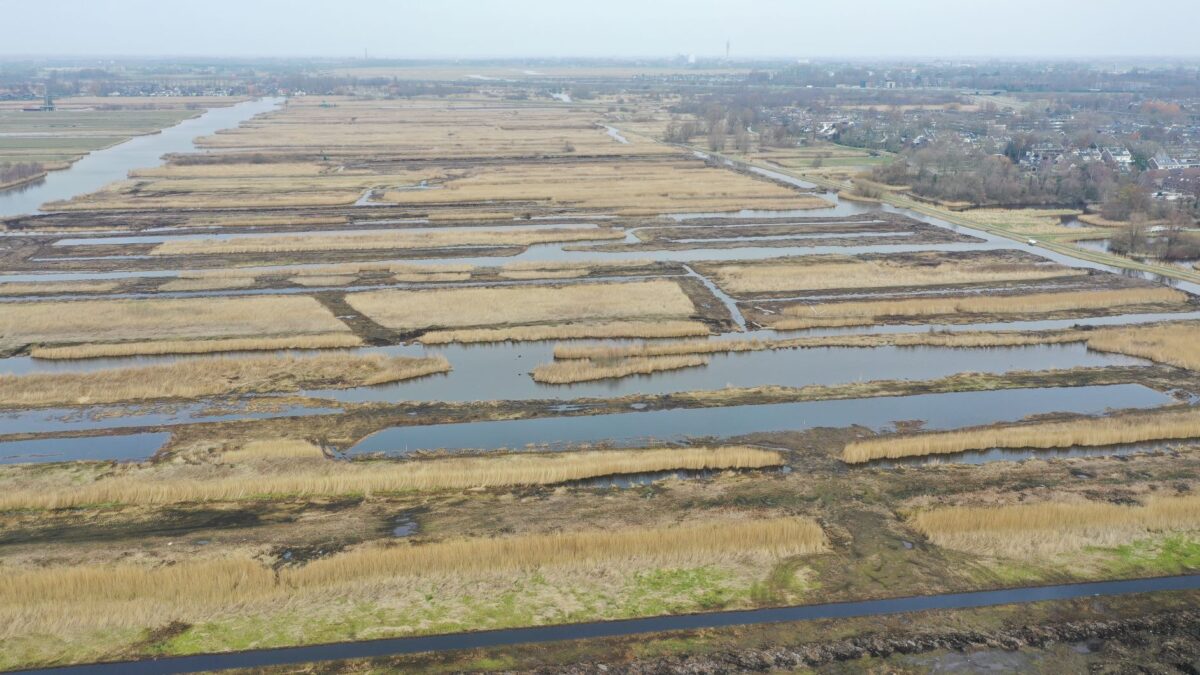 Peilverhoging natuurgebied Noord-Holland levert CO₂-certificaten op