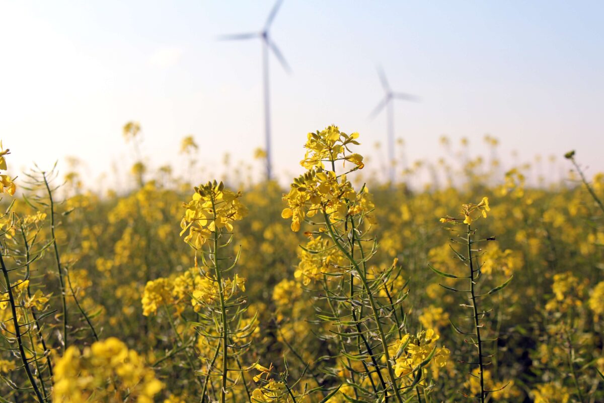 Gezond leefklimaat in gevaar: stilstand is geen optie