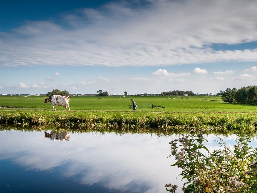 Stikstofzaak gaat ons allemaal aan